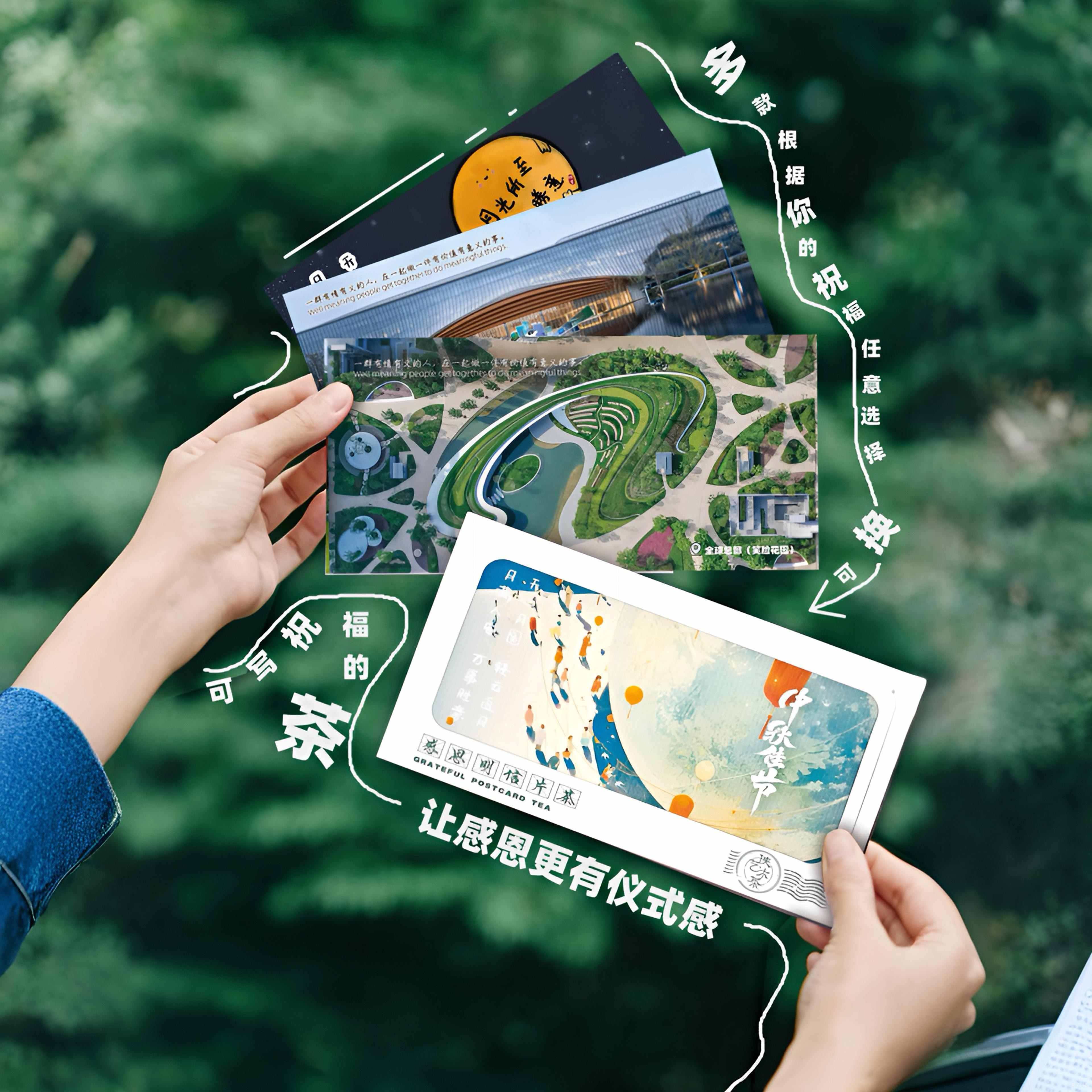侠艺感恩明信片茶